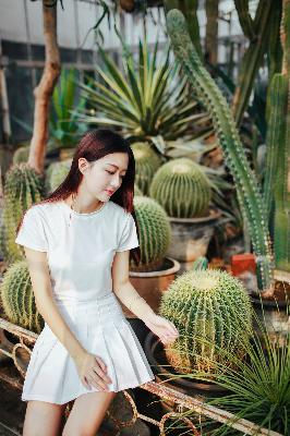 对手电视剧免费观看完整版高清